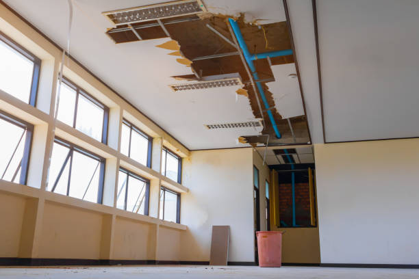 Best Professional water damage repair  in Hagaman, NY