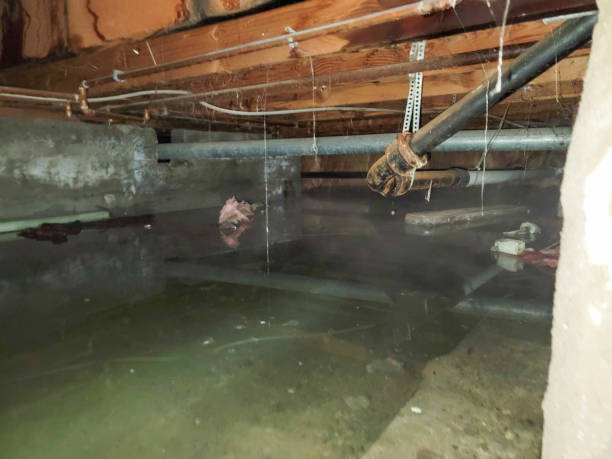 Water damage restoration insurance claims in Hagaman, NY