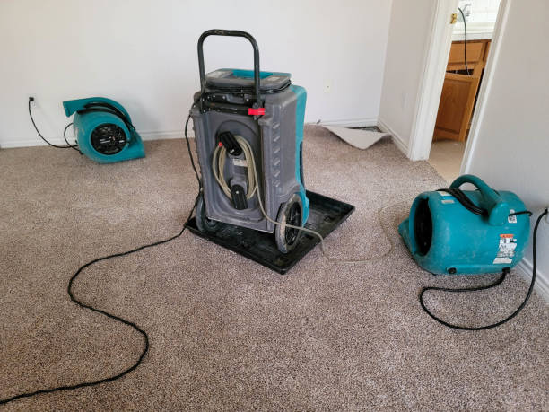 Best Water damage cleanup near me  in Hagaman, NY