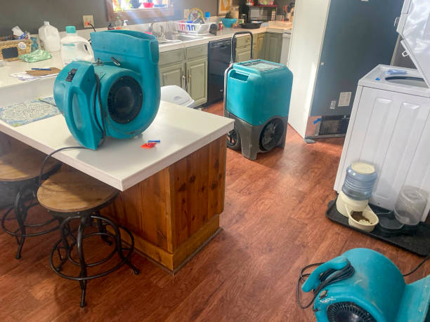 Best Water damage restoration near me  in Hagaman, NY