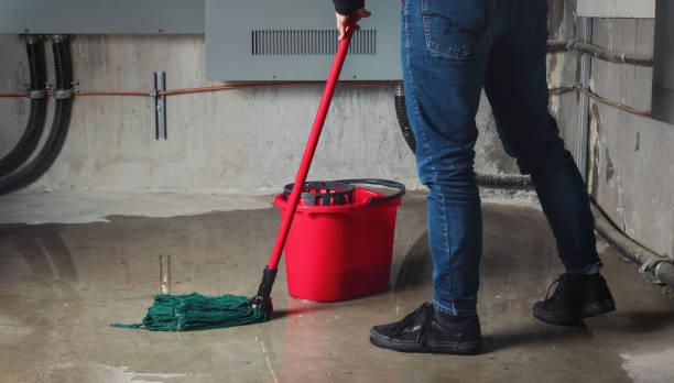 Best Flood damage cleanup  in Hagaman, NY