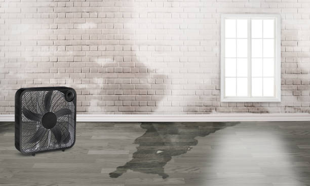 Best Emergency water damage restoration  in Hagaman, NY